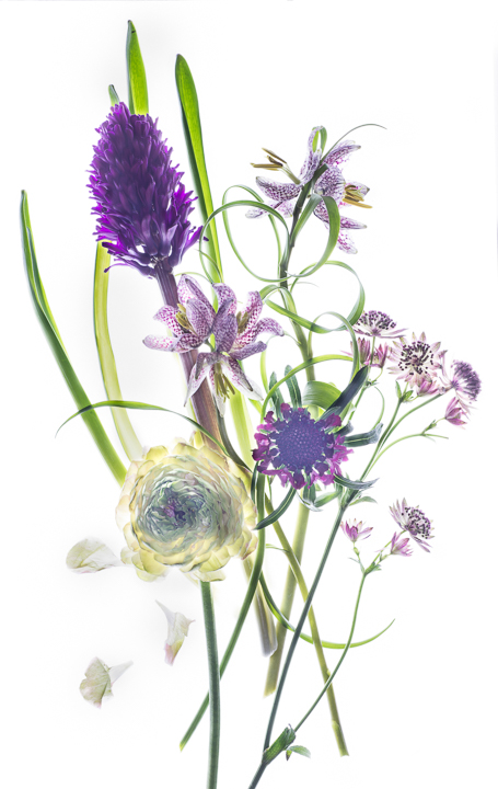 A bouquet of purple flowers