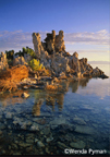 image of Mono Lake tufas at dawn, with the bottom of lake visible.